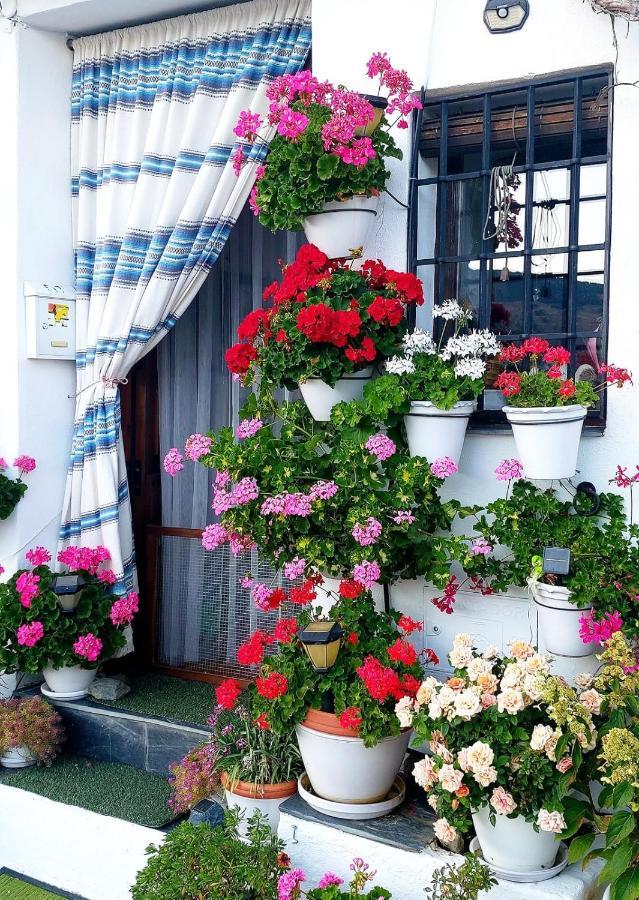 グラナダCasa Alhambra - Centro Historico Con Jardin Privadoアパートメント エクステリア 写真