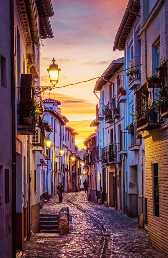 グラナダCasa Alhambra - Centro Historico Con Jardin Privadoアパートメント エクステリア 写真
